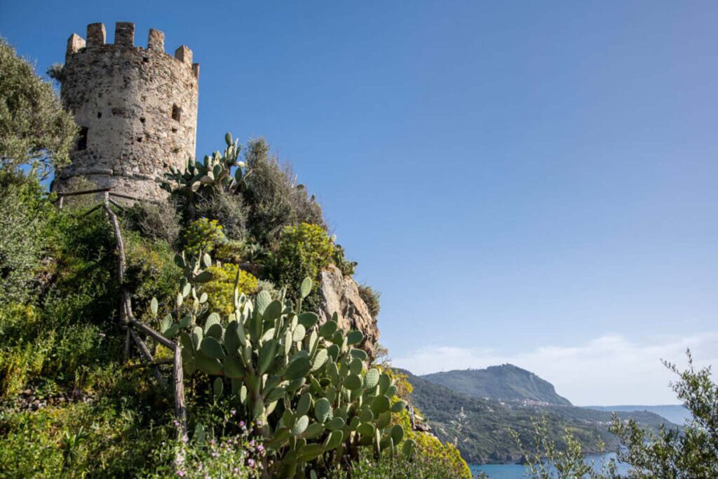 vacation home rentals attractions 3 1